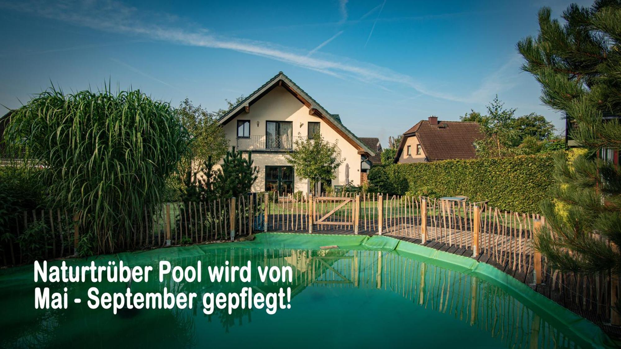 Ferienhaus Mountfrosch Mit Sauna Und Naturpool Montjoie Extérieur photo